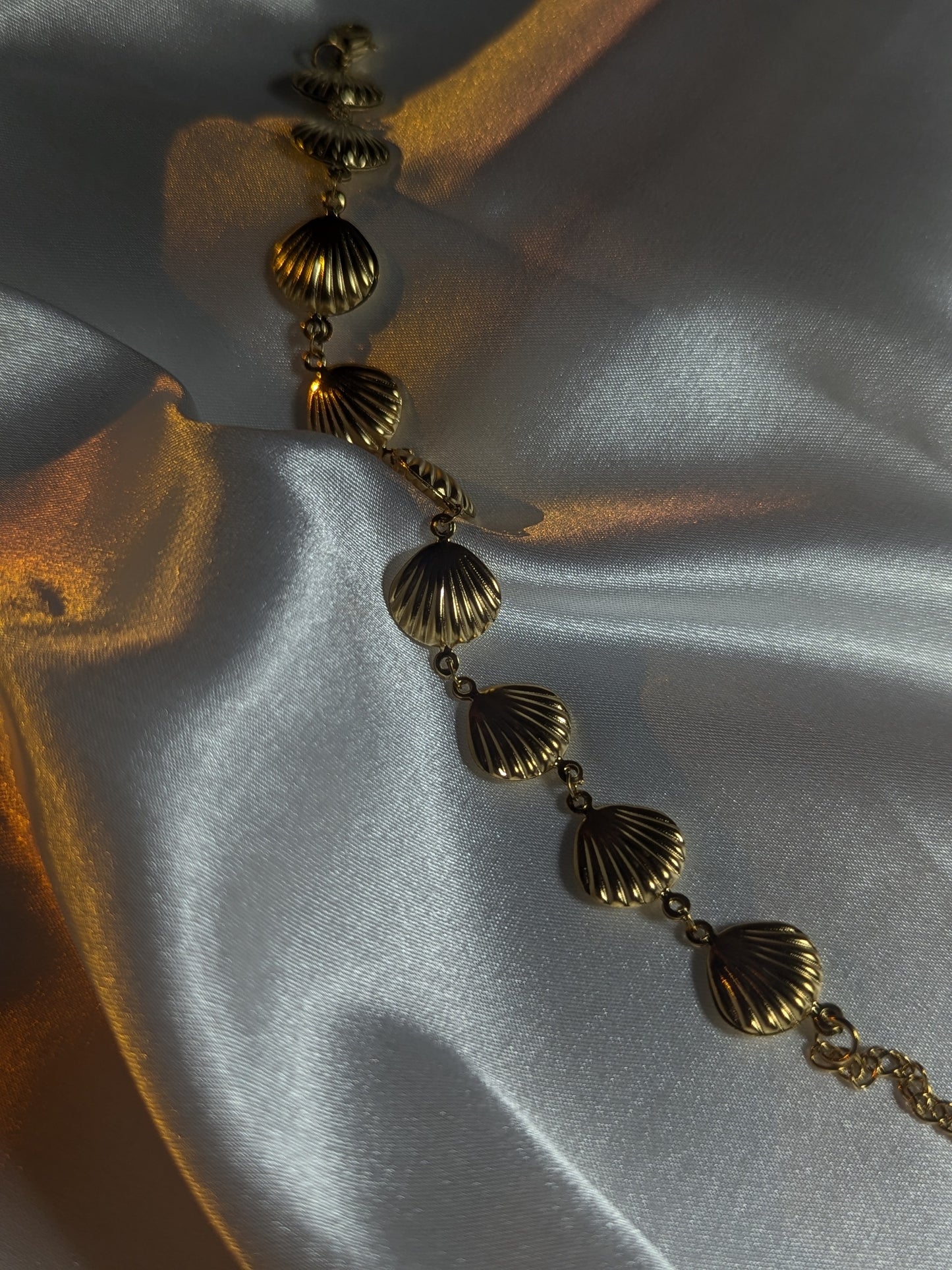 Shell bracelet
